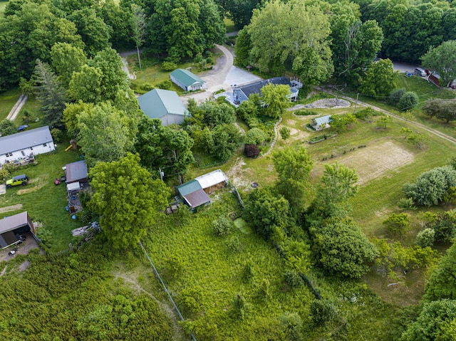 11303 W Dr N, Bellevue, MI 49021 - aerial view of property's location