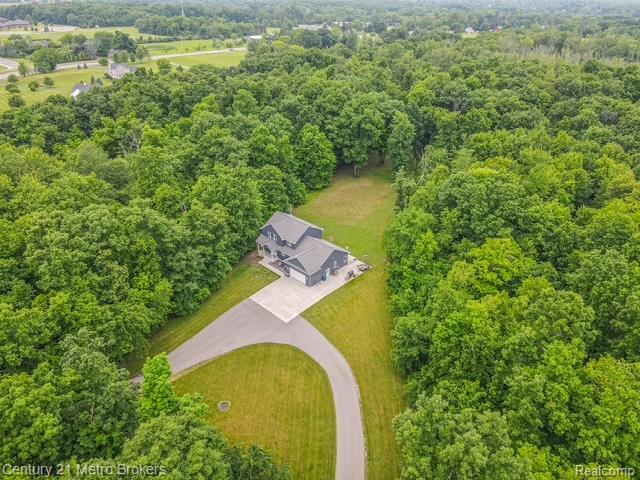 9119 Hegel Rd, Goodrich, MI 48438 - bird's eye view of a forest