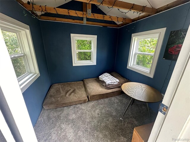 1827 N Franklin Ct, Ann Arbor, MI 48103 - living area with carpet flooring
