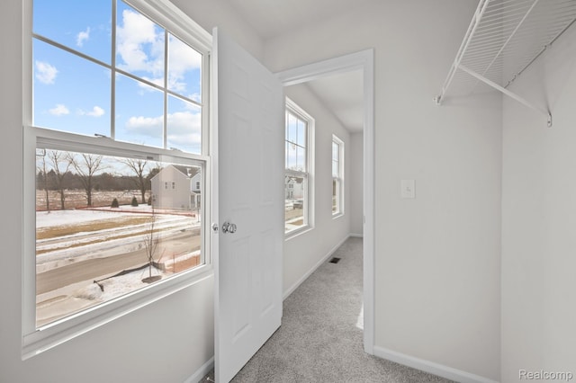 48495 Old Oak Trl, Van Buren, MI 48111 - spacious closet featuring carpet floors