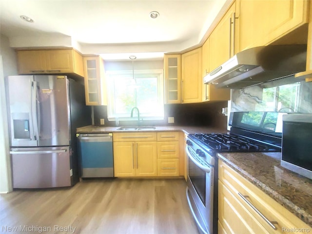 22221 Marlow St, Oak Park, MI 48237 - kitchen with stainless steel appliances, under cabinet range hood, light brown cabinetry, light wood-type flooring, and glass insert cabinets