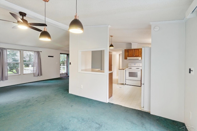 4150 Buzzell Rd, Gladwin, MI 48624 - kitchen with white appliances, under cabinet range hood, carpet flooring, brown cabinetry, and a ceiling fan
