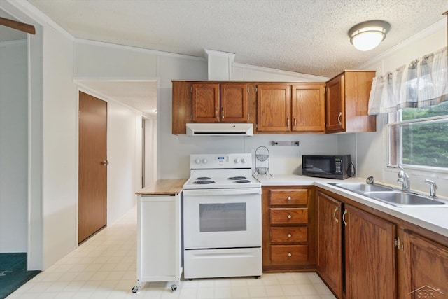 4150 Buzzell Rd, Gladwin, MI 48624 - kitchen with white range with electric stovetop, range hood, black microwave, light flooring, and ornamental molding