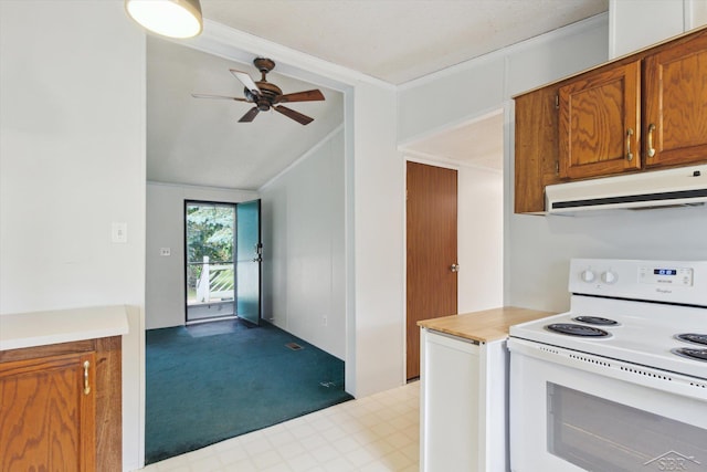 4150 Buzzell Rd, Gladwin, MI 48624 - kitchen featuring electric stove, under cabinet range hood, ornamental molding, ceiling fan, and light carpet