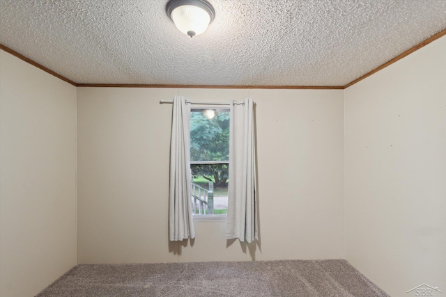 4150 Buzzell Rd, Gladwin, MI 48624 - spare room featuring carpet flooring, ornamental molding, and a textured ceiling
