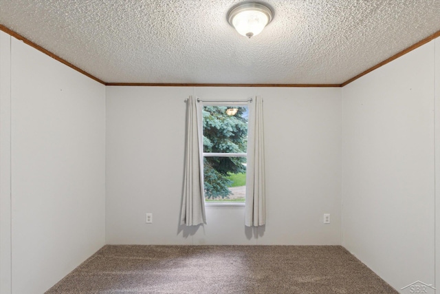 4150 Buzzell Rd, Gladwin, MI 48624 - carpeted spare room with ornamental molding and a textured ceiling