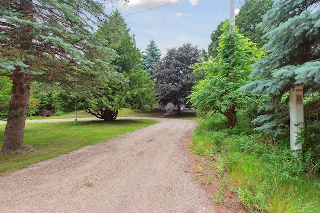 4150 Buzzell Rd, Gladwin, MI 48624 - view of dirt / gravel road