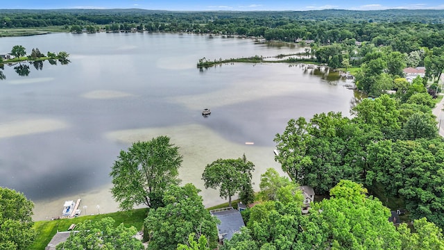 4449 Cordley Lake Rd, Pinckney, MI 48169 - drone / aerial view of a forest and a nearby body of water