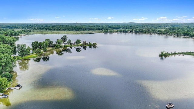 4449 Cordley Lake Rd, Pinckney, MI 48169 - aerial view of a forest and a large body of water