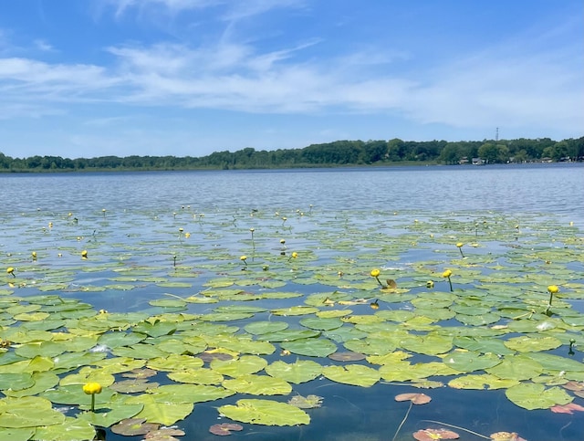 4449 Cordley Lake Rd, Pinckney, MI 48169 - water view