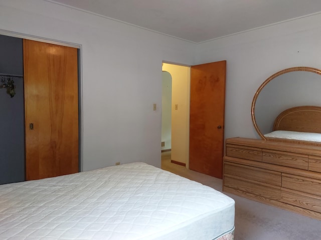 420 N 14th St, Niles, MI 49120 - carpeted bedroom with a closet