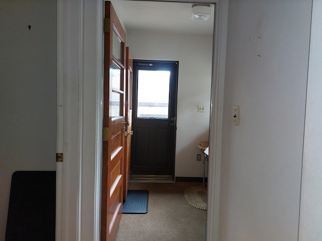 420 N 14th St, Niles, MI 49120 - doorway with carpet flooring