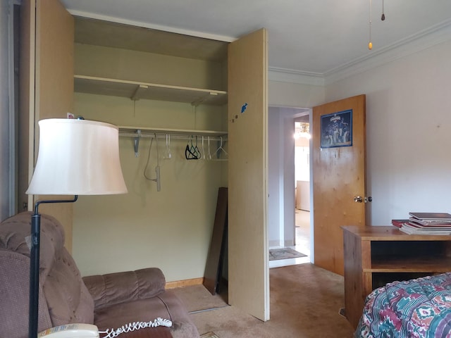 420 N 14th St, Niles, MI 49120 - bedroom with carpet, crown molding, and a closet