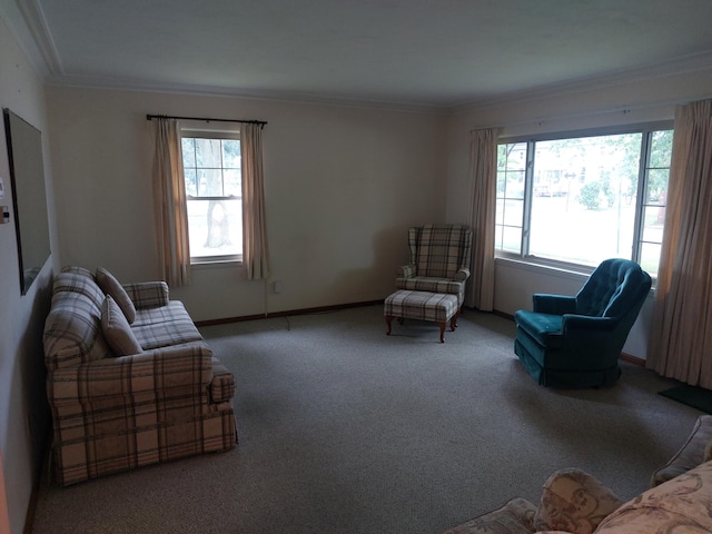 420 N 14th St, Niles, MI 49120 - carpeted living area with plenty of natural light and ornamental molding