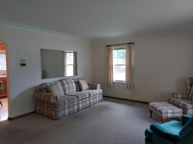 420 N 14th St, Niles, MI 49120 - living area with ornamental molding, arched walkways, and light carpet