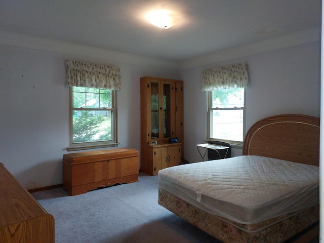 420 N 14th St, Niles, MI 49120 - view of carpeted bedroom
