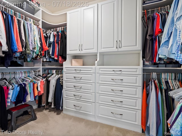 3551 Royal Berkshire Ln, Oakland, MI 48363 - spacious closet with light carpet