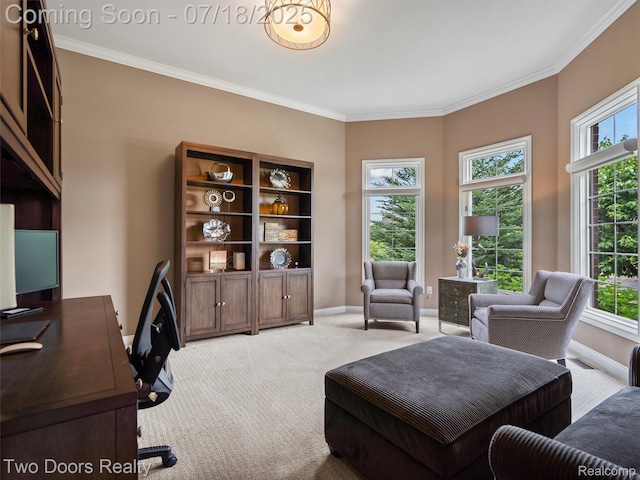 3551 Royal Berkshire Ln, Oakland, MI 48363 - office featuring light carpet and ornamental molding