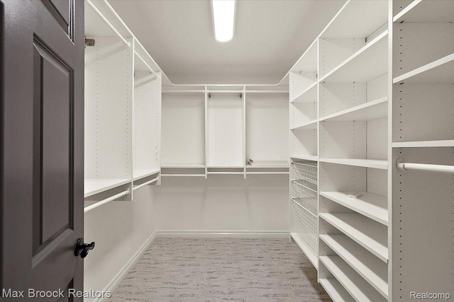 855 Wallace St, Birmingham, MI 48009 - view of walk in closet