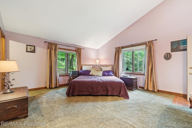 5152 Milroy Ln, Brighton, MI 48116 - photo 8