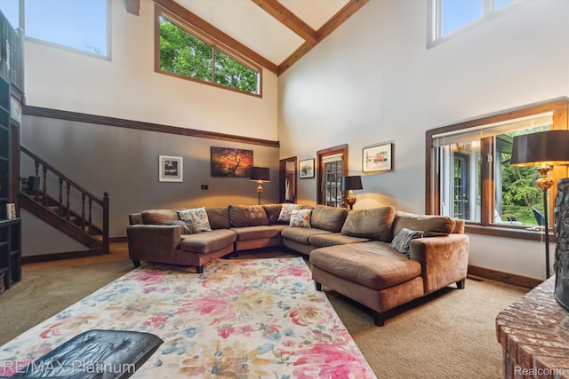 5152 Milroy Ln, Brighton, MI 48116 - photo 12