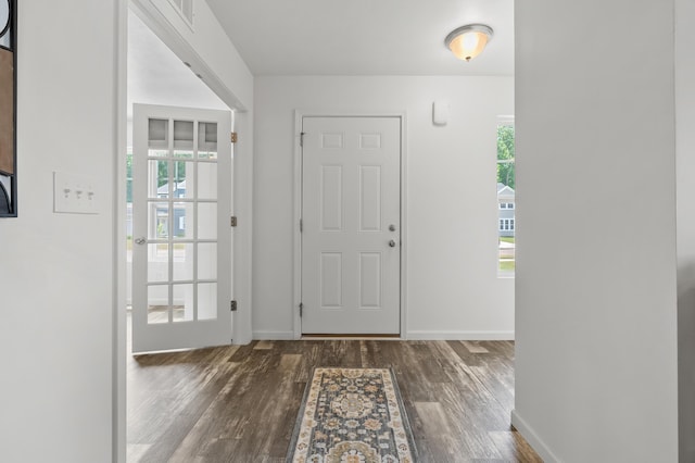 25596 Forest Ln, Mattawan, MI 49071 - entrance foyer featuring healthy amount of natural light and wood finished floors