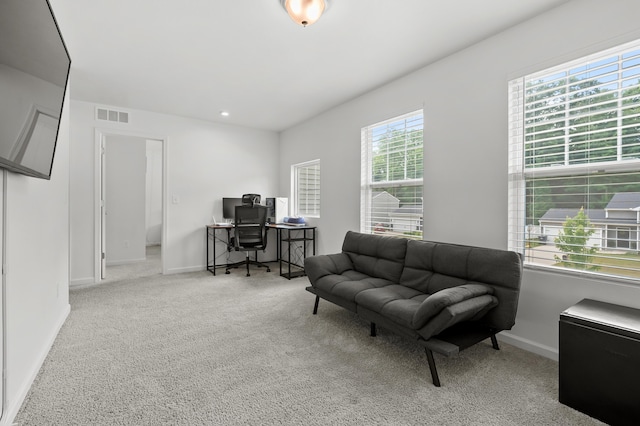 25596 Forest Ln, Mattawan, MI 49071 - carpeted office space featuring baseboards