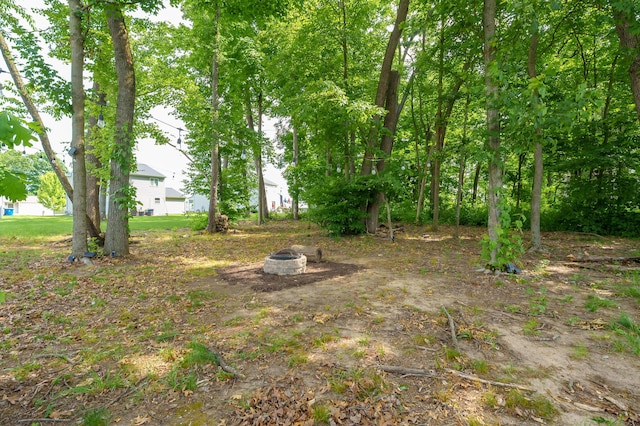 25596 Forest Ln, Mattawan, MI 49071 - view of yard featuring an outdoor fire pit