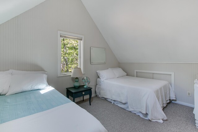 14031 S Star Lake Dr, Baldwin, MI 49304 - photo 20