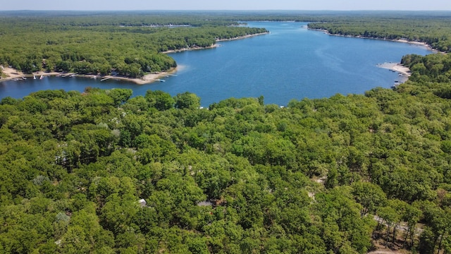 14031 S Star Lake Dr, Baldwin, MI 49304 - photo 2
