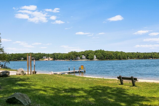14031 S Star Lake Dr, Baldwin, MI 49304 - photo 38