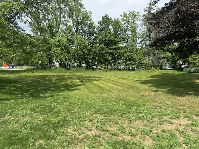 Ames St, Elk Rapids, MI 49629