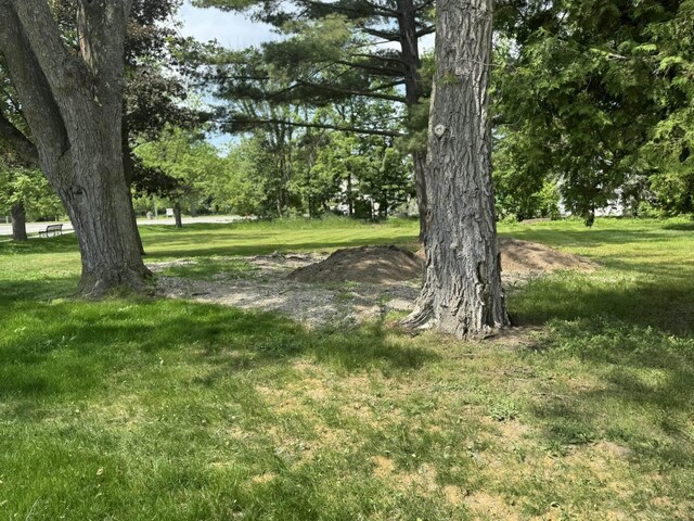 Ames St, Elk Rapids, MI 49629