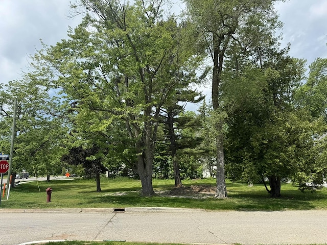 Ames St, Elk Rapids, MI 49629