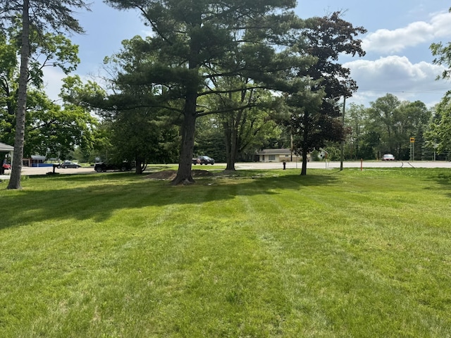 Ames St, Elk Rapids, MI 49629