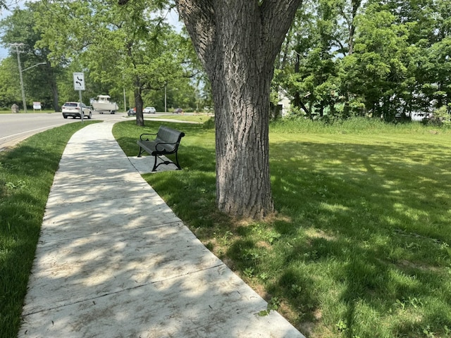 Ames St, Elk Rapids, MI 49629