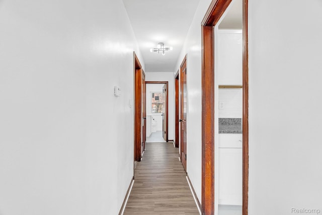 20166 Riopelle St, Highland Park, MI 48203 - photo 26