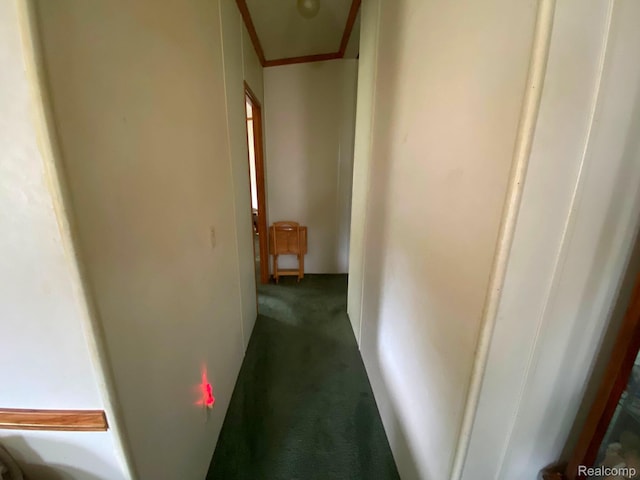 5424 Hughes Rd, Lansing, MI 48911 - hallway with carpet and crown molding