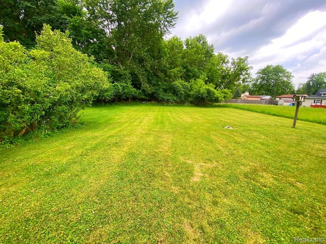 5424 Hughes Rd, Lansing, MI 48911 - view of yard
