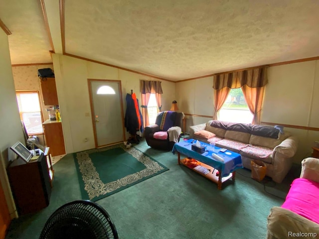 5424 Hughes Rd, Lansing, MI 48911 - carpeted living room featuring healthy amount of natural light, ornamental molding, a textured ceiling, and lofted ceiling