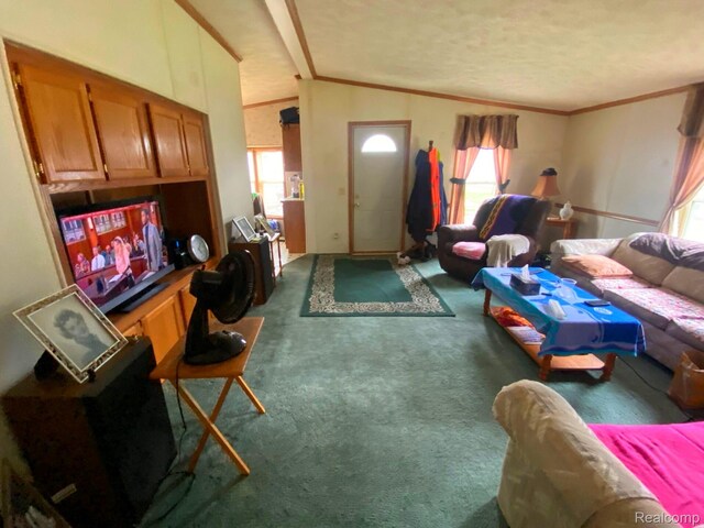 5424 Hughes Rd, Lansing, MI 48911 - living area with vaulted ceiling, ornamental molding, and carpet floors
