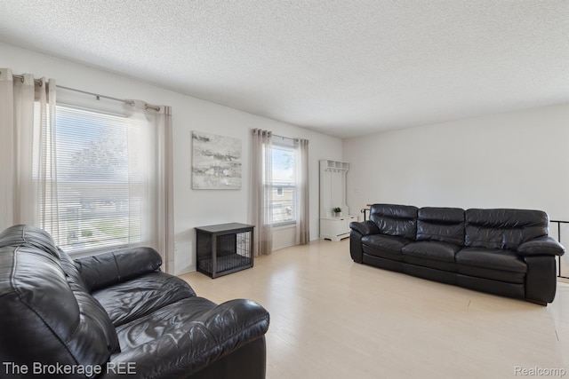 9451 Parkwood N, Davison, MI 48423 - living area featuring a textured ceiling and wood finished floors