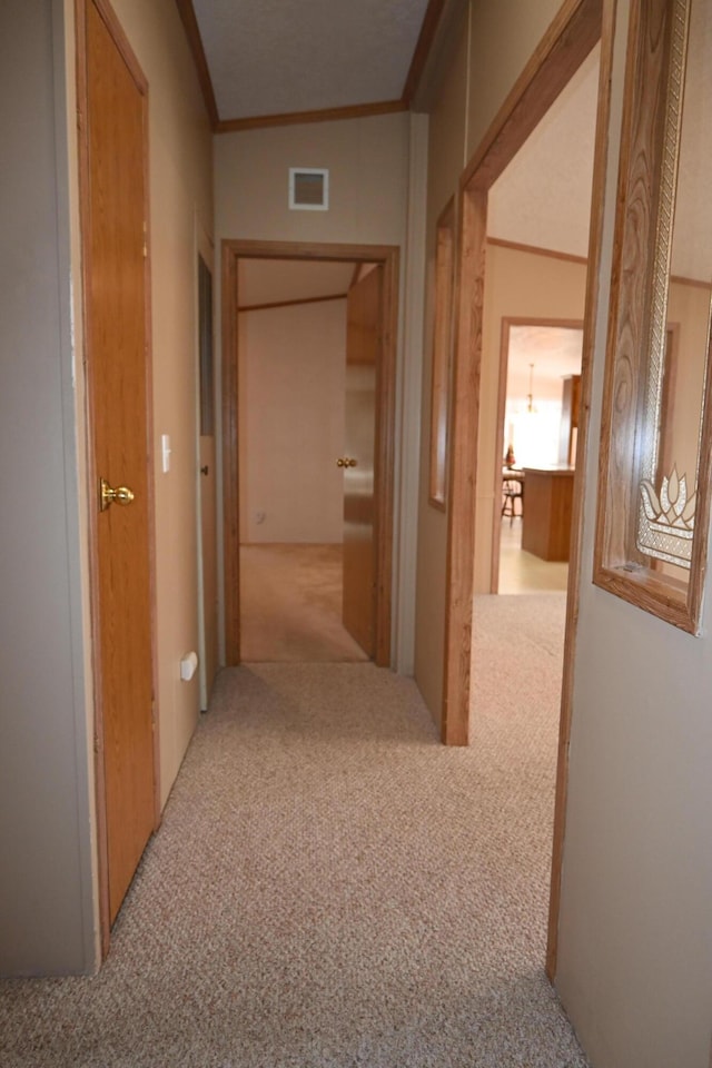 4105 Sawgrass Trl, Muskegon, MI 49442 - hall featuring carpet flooring and crown molding