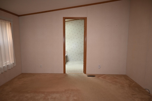 4105 Sawgrass Trl, Muskegon, MI 49442 - spare room with carpet and ornamental molding