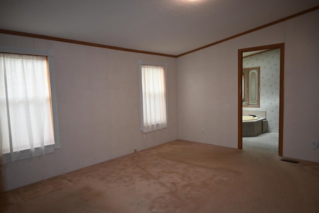 4105 Sawgrass Trl, Muskegon, MI 49442 - unfurnished room featuring carpet flooring, healthy amount of natural light, crown molding, and lofted ceiling