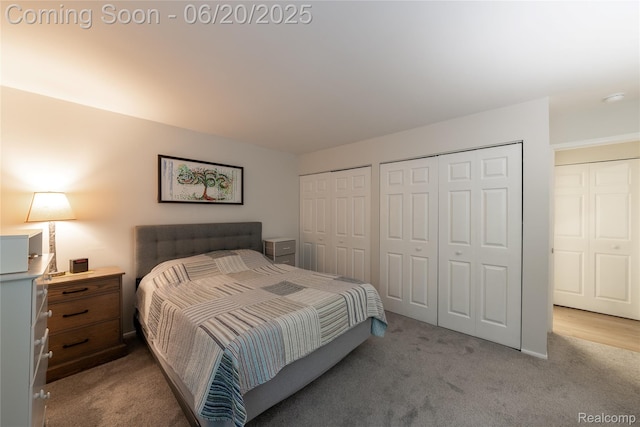 16591MIDDLEBELTRD Middlebelt Rd Unit 4, Livonia, MI 48154 - bedroom with two closets and carpet floors