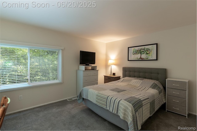 16591MIDDLEBELTRD Middlebelt Rd Unit 4, Livonia, MI 48154 - bedroom featuring dark carpet and baseboards