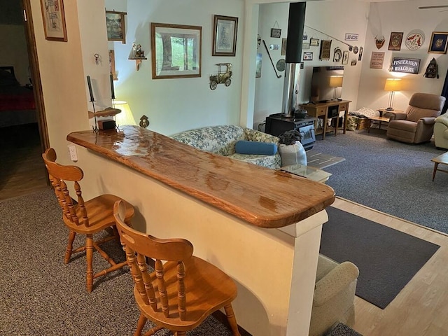 9810 E School Section Lake Dr, Mecosta, MI 49332 - bar area featuring wood finished floors
