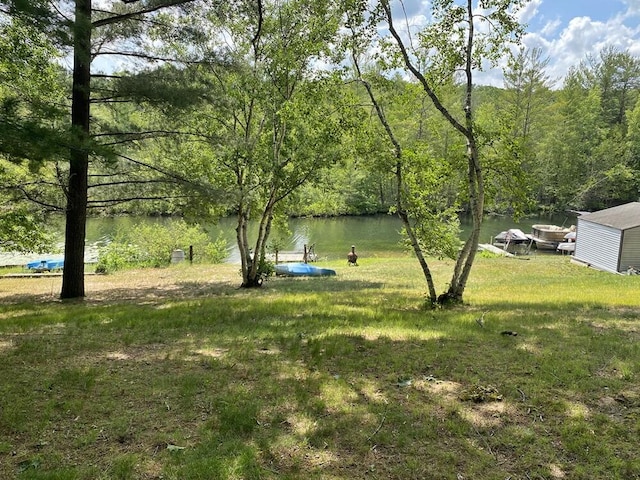 9810 E School Section Lake Dr, Mecosta, MI 49332 - view of green lawn with a water view