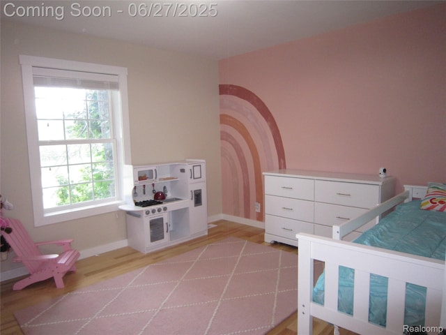 1103 N Michigan Ave, Howell, MI 48843 - photo 14